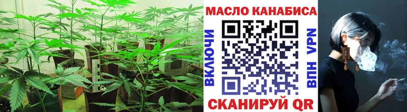 где купить наркоту  Камбарка  дарк нет телеграм  ТГК гашишное масло 