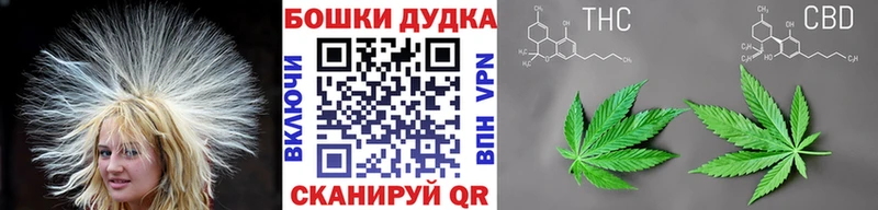 Шишки марихуана OG Kush  Камбарка 
